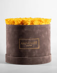 Delightful yellow Roses showcased in a modish grey package