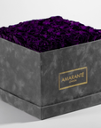 Magical dark purple Roses in an divine grey large box