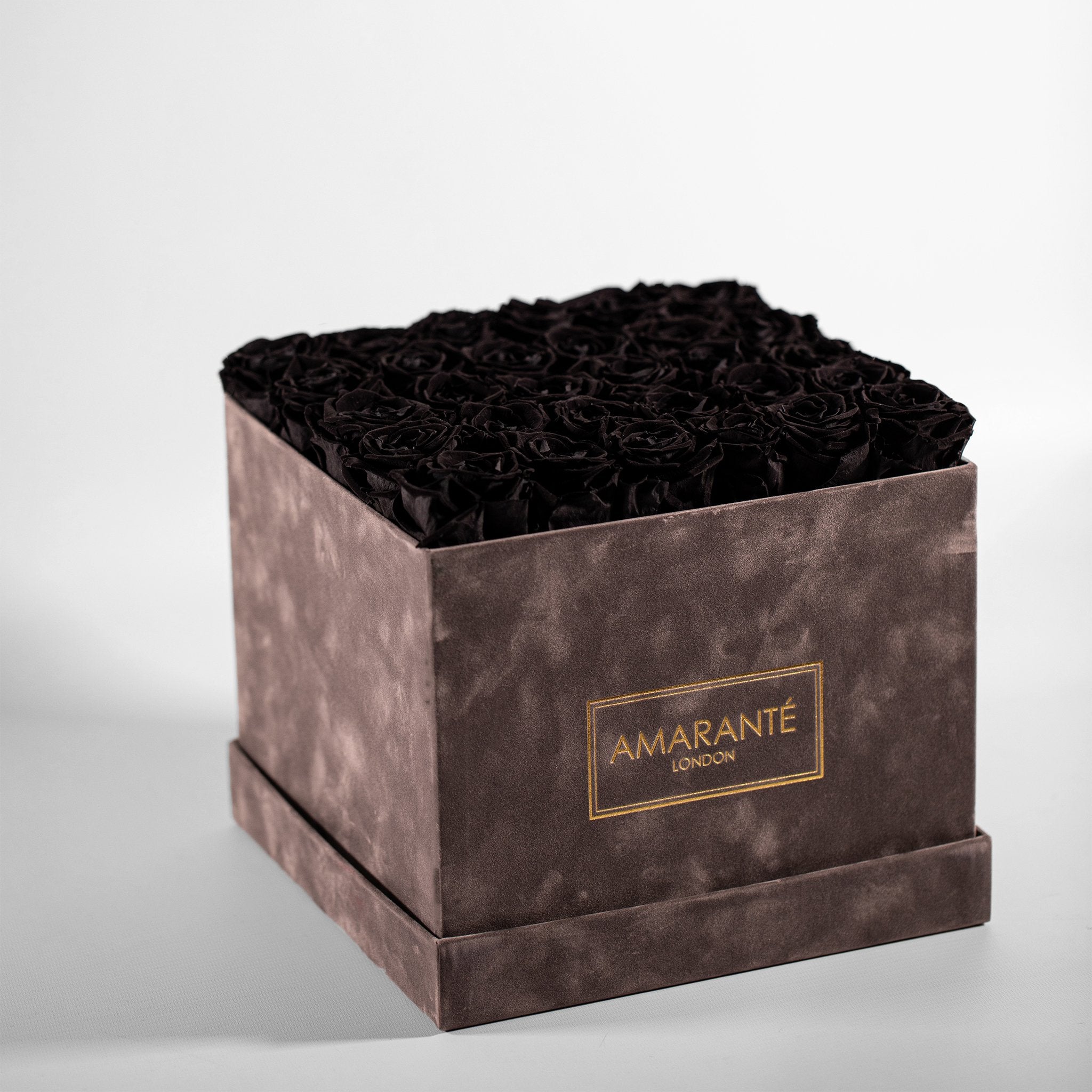 Bold grey box with sophisticated black Roses, expressing mystery and danger.
