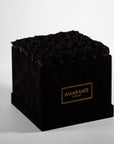 Bold black Roses comprised in a stylish black square large box.