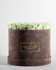 Revitalising mint green Roses shown in a fashionable grey box