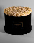 Tranquilising peach Roses accessible in a modish black package