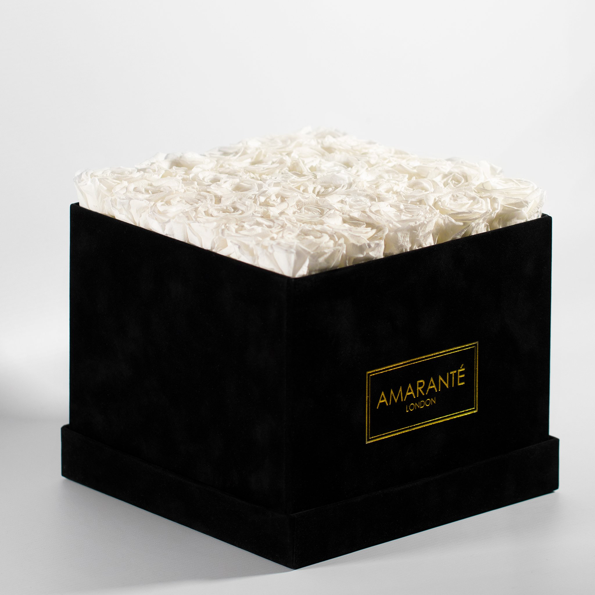 Elegant white Roses beaming with captivating colours that imply purity, stability, and balance.