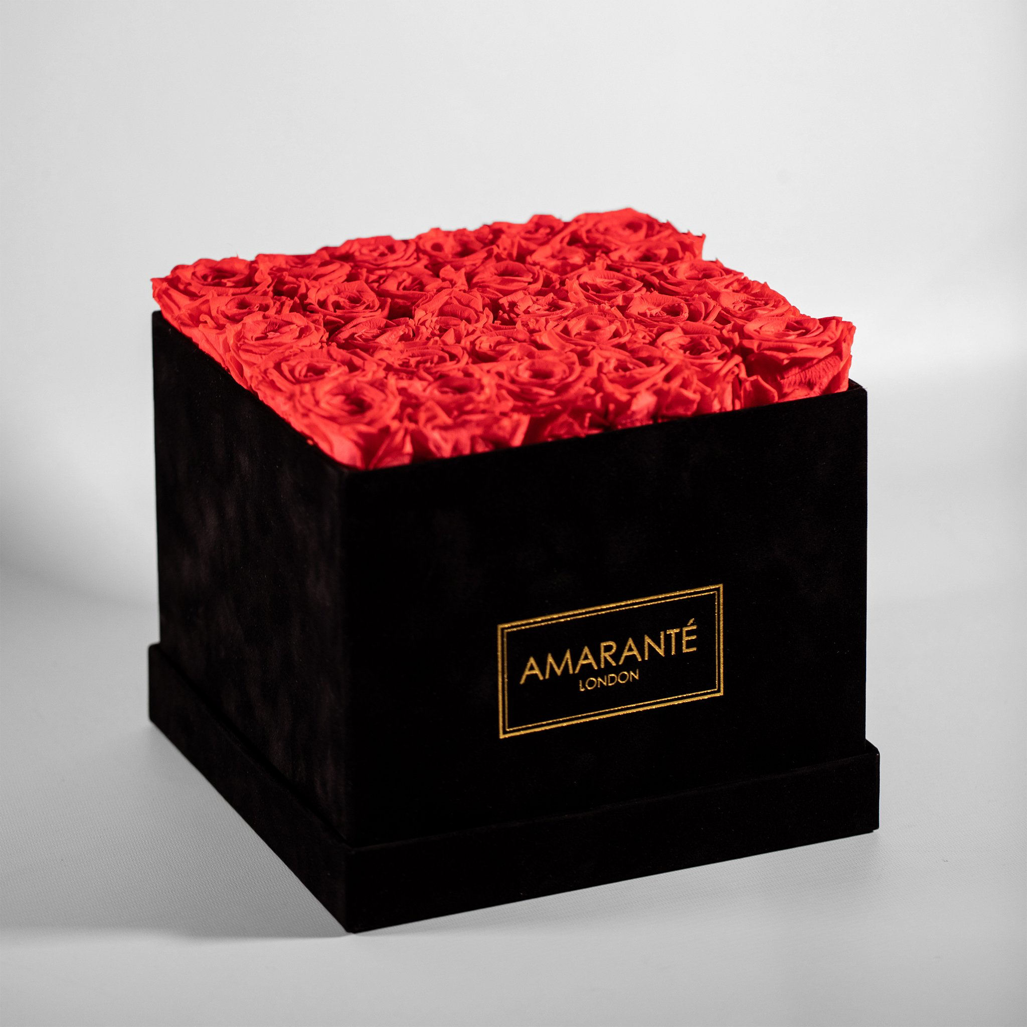 Tender hot pink Roses, the perfect choice for a girlfriend, suggesting care and beauty.