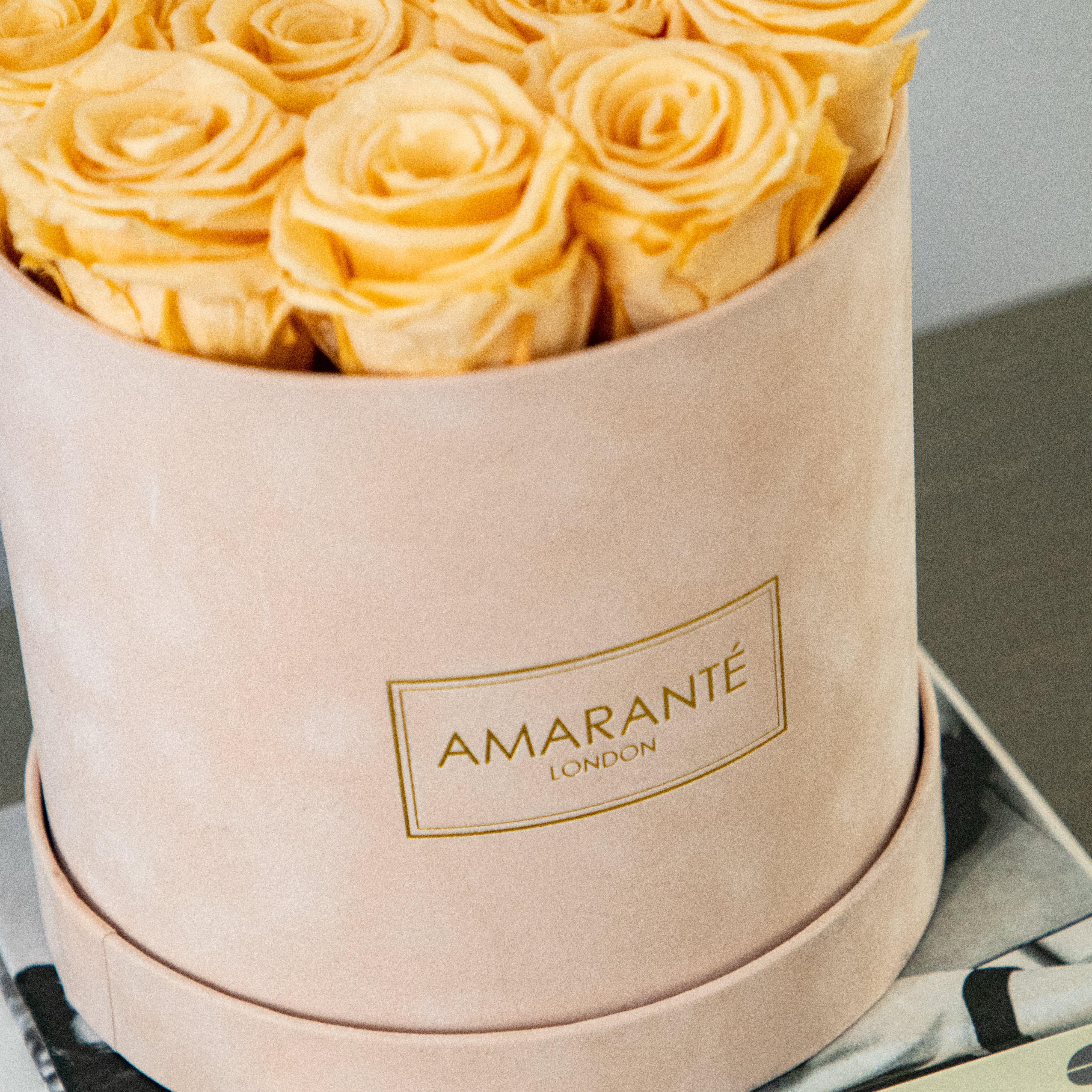 Everlasting Infinity Roses for Every Libra Birthday