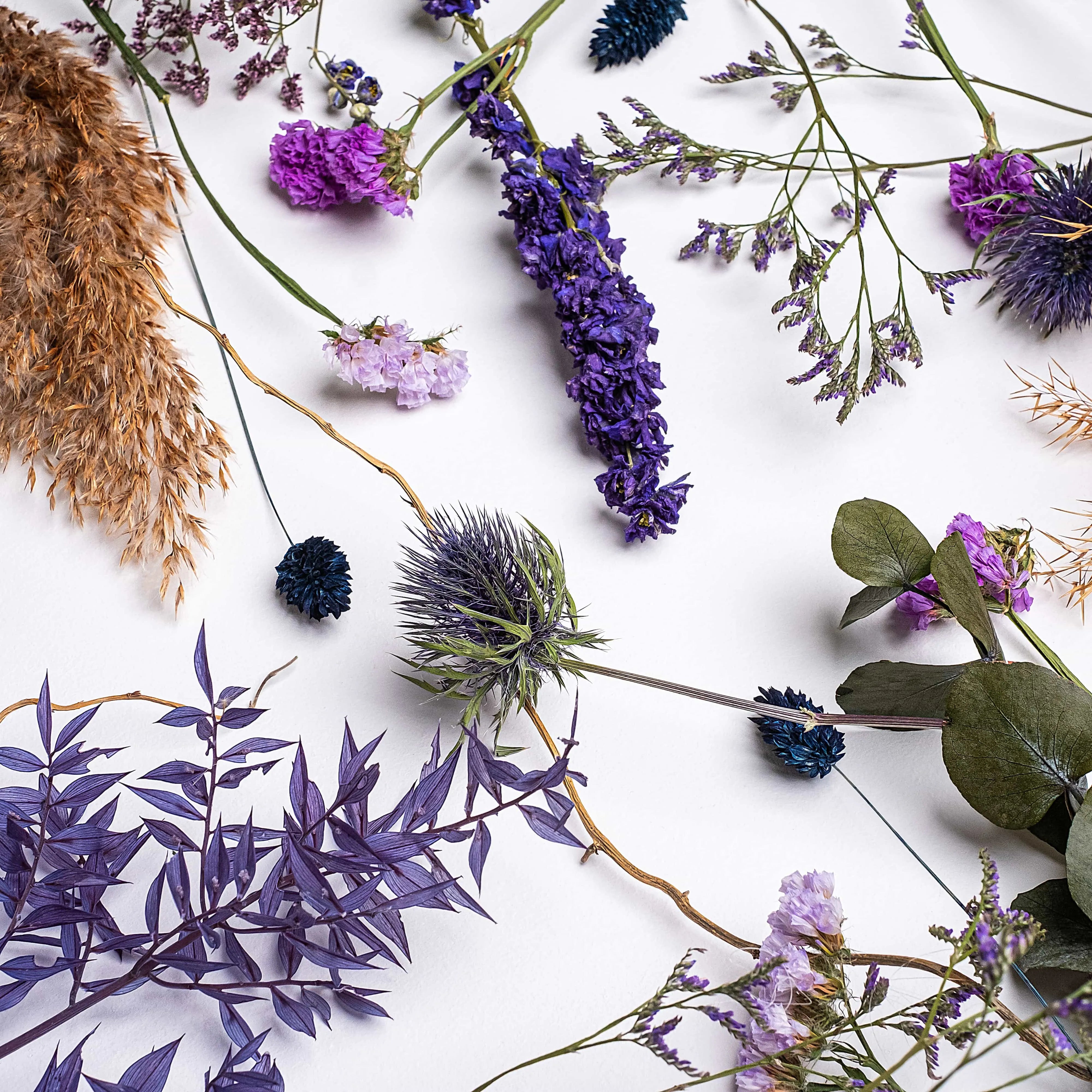 Top Five Unique Floral Stems for Unconventional Bouquet Arrangements