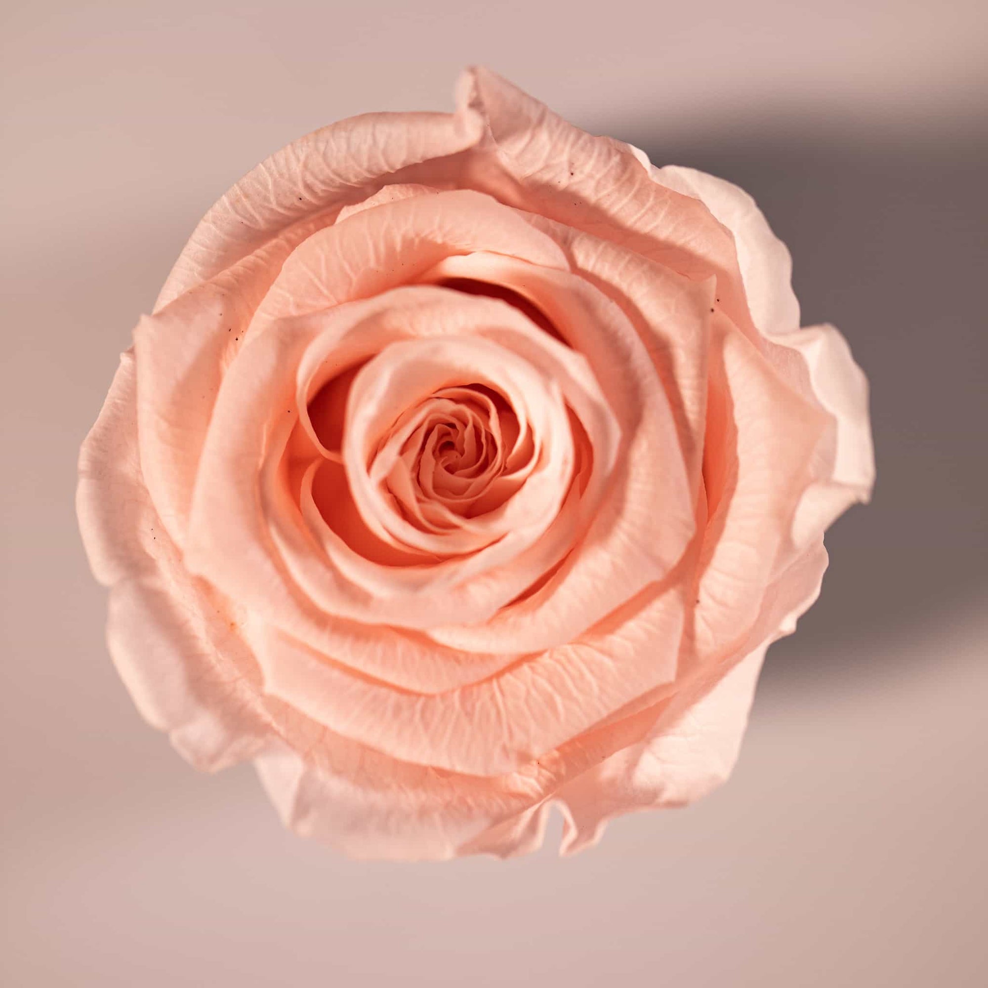 Birthday Flower Bouquet that Stands Out And Stay Fresh For Years