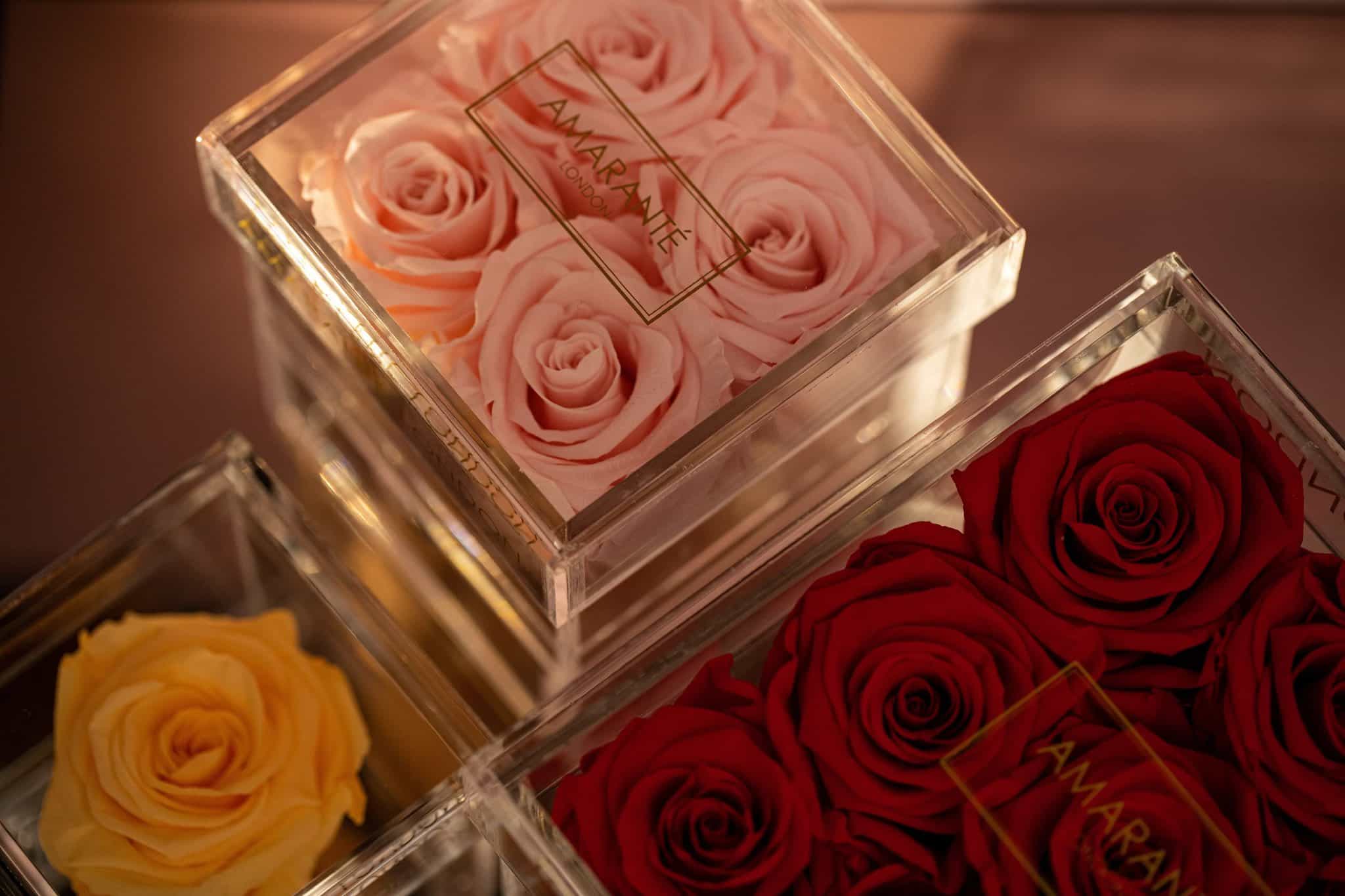 Send Forever Roses, the Ultimate Eco-Sustainable Gift, with Amaranté