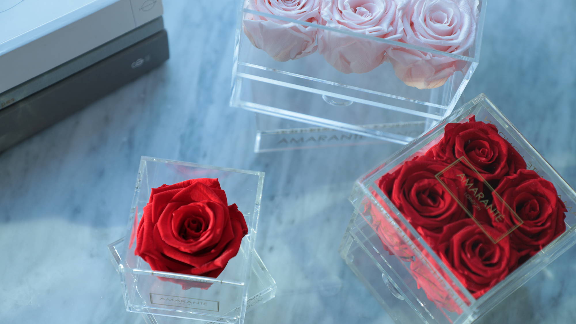 Choose Forever Roses as Enchanting Wedding Ceremony Flowers – Amarante ...