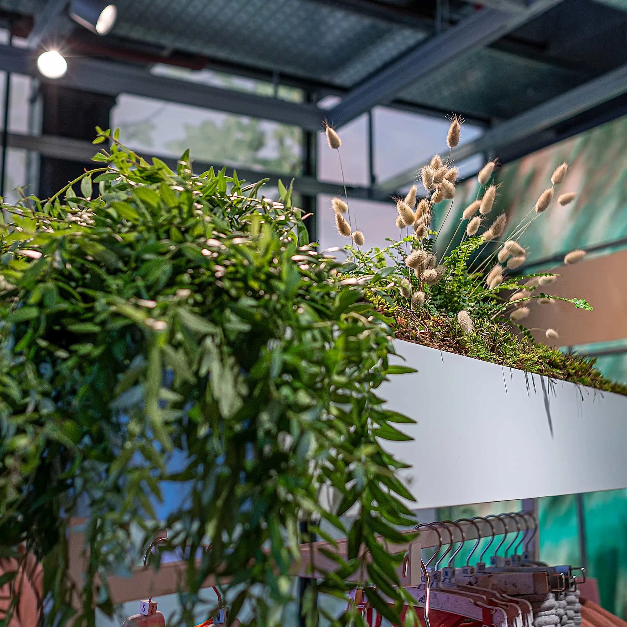 Lush foliage and soft bunny tails grass cascade over the edge of a display at the Adidas x Stella McCartney aSMC launch event, thanks to Amaranté London's expert floristry that introduced a serene, natural element to this retail space of the location.
