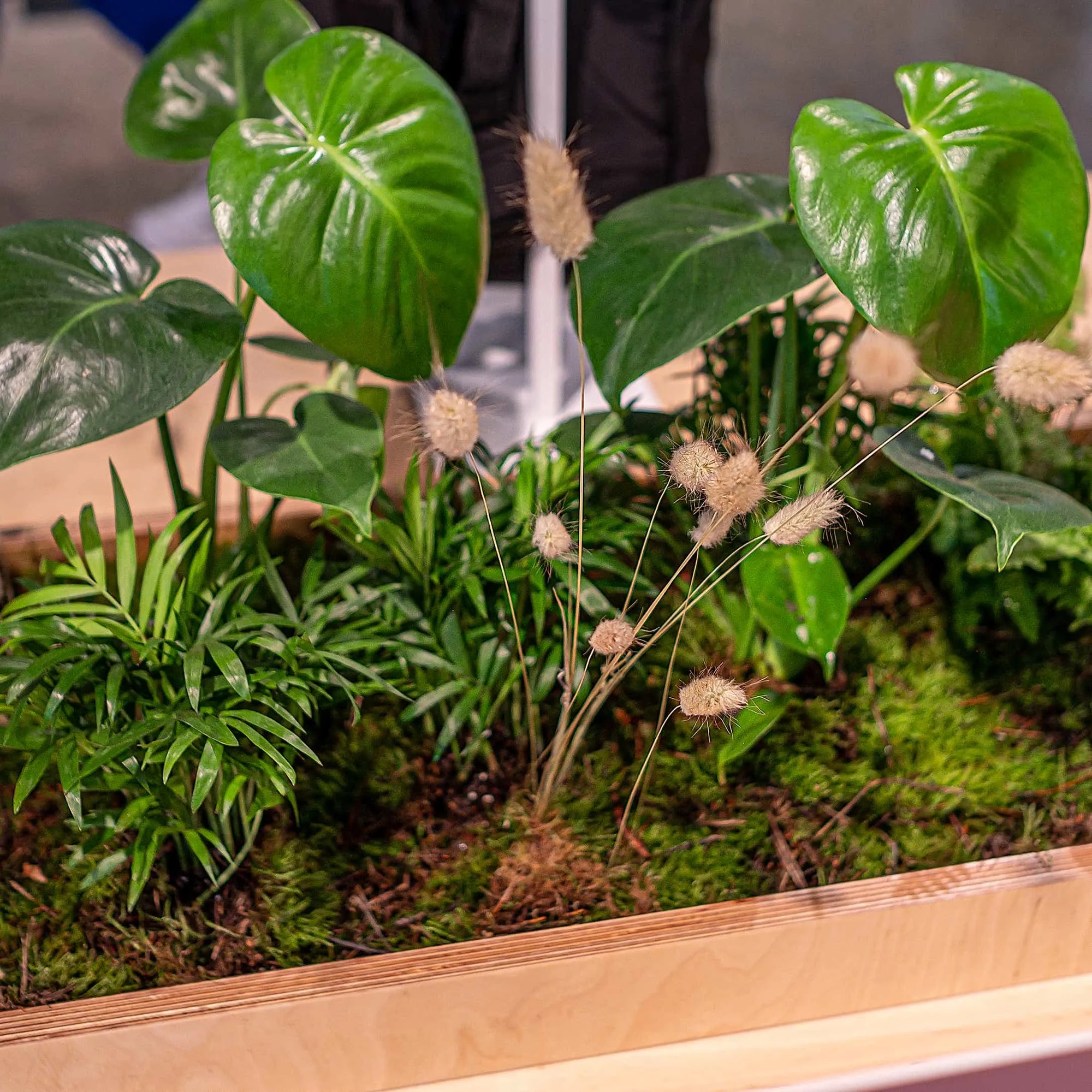 Detail of Amaranté London's plant arrangement for the Adidas x Stella McCartney aSMC collection, featuring glossy monstera leaves and delicate bunny tail grass amidst vibrant greenery. The arrangement captures the essence of nature within a corporate event setting.