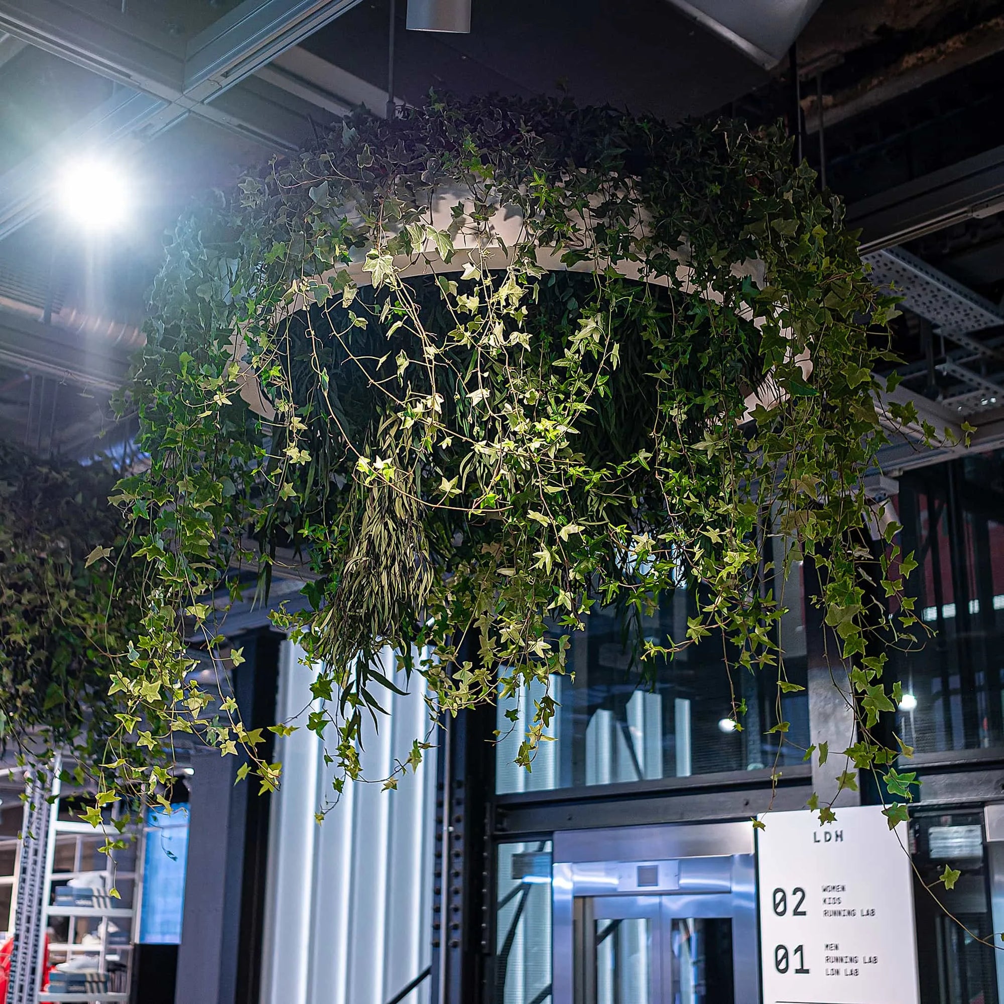 An intricate hanging garden installation by Amaranté London at the entry of the Adidas x Stella McCartney aSMC event, with ivy and greenery spilling from above, creating an inviting, organic canopy that softens the industrial chic of the surroundings.