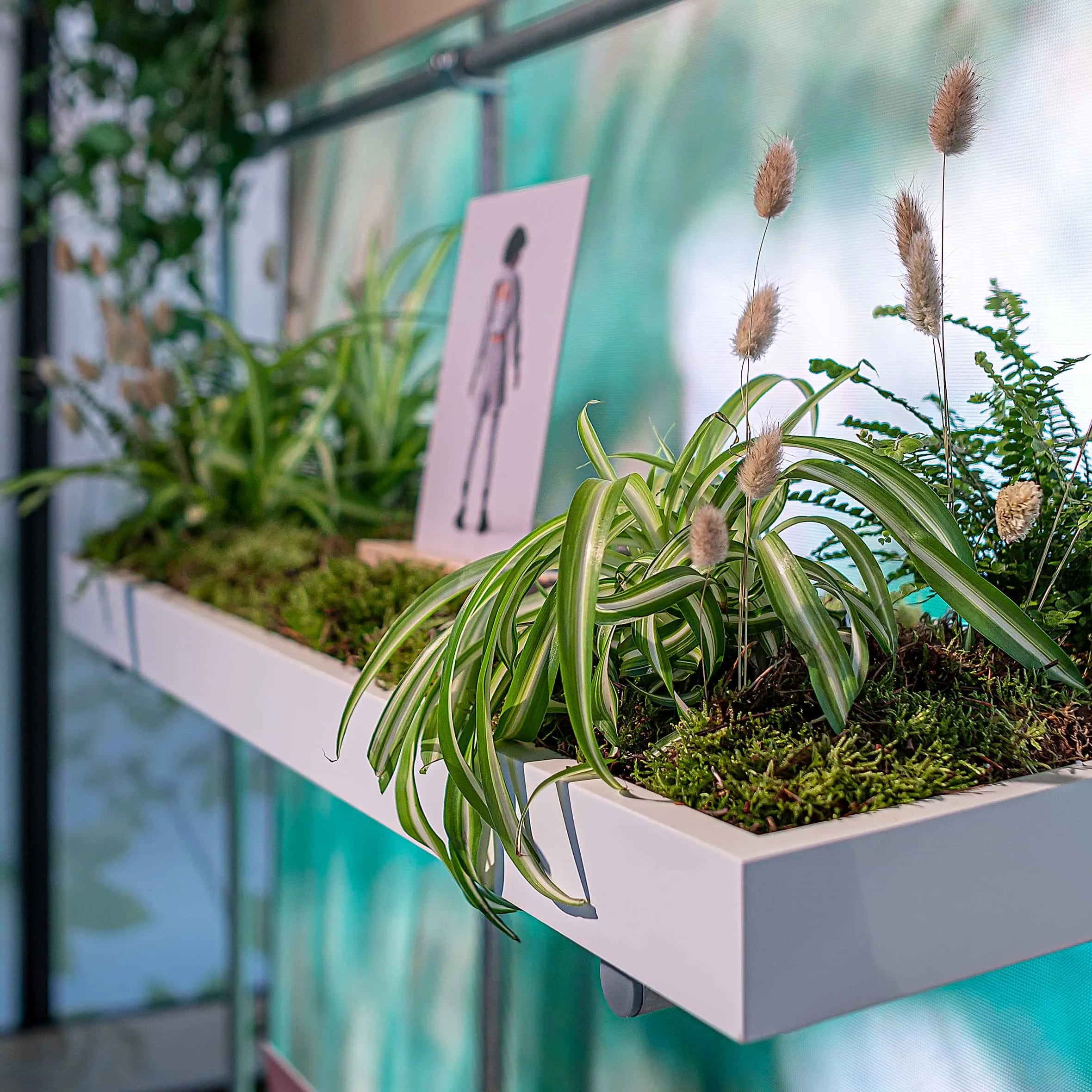 This is a close-up of Amaranté London's plant styling for the Adidas x Stella McCartney aSMC collection. It displays spider plants and soft grasses on a mossy bed, with a fashion illustration in the background.