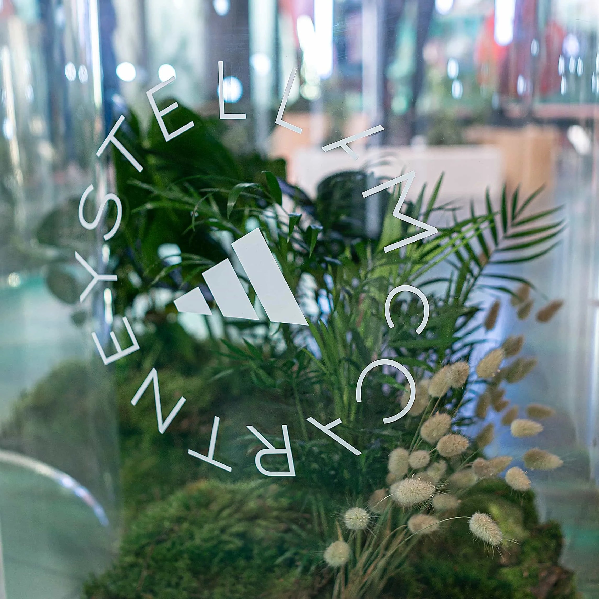 Focused on the Adidas x Stella McCartney aSMC collection logo, this image captures Amaranté London's botanical artistry through a glass pane, with A soft focus on the delicate textures of the diverse foliage, echoing the brand's commitment to sustainability.