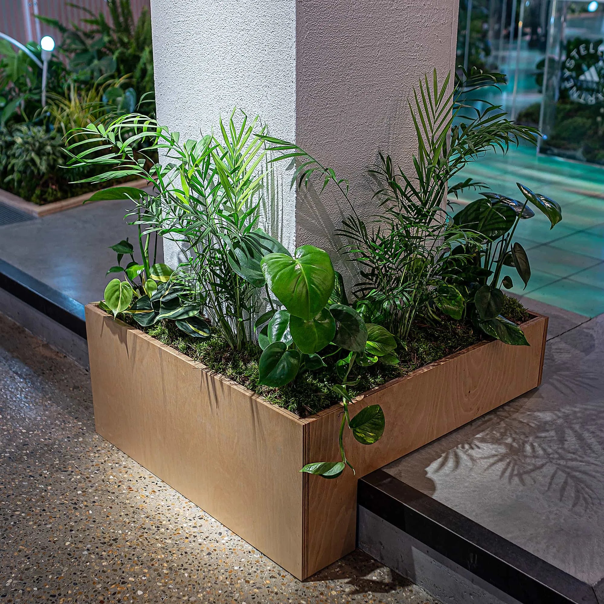An expertly curated planter by Event Florist Amaranté London for the Adidas x Stella McCartney aSMC collection launch, featuring an assortment of green plants that evoke a sense of luxury and vitality.