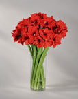 A bouquet of vibrant red amaryllis flowers with long green stems, arranged in a clear glass cylinder vase 