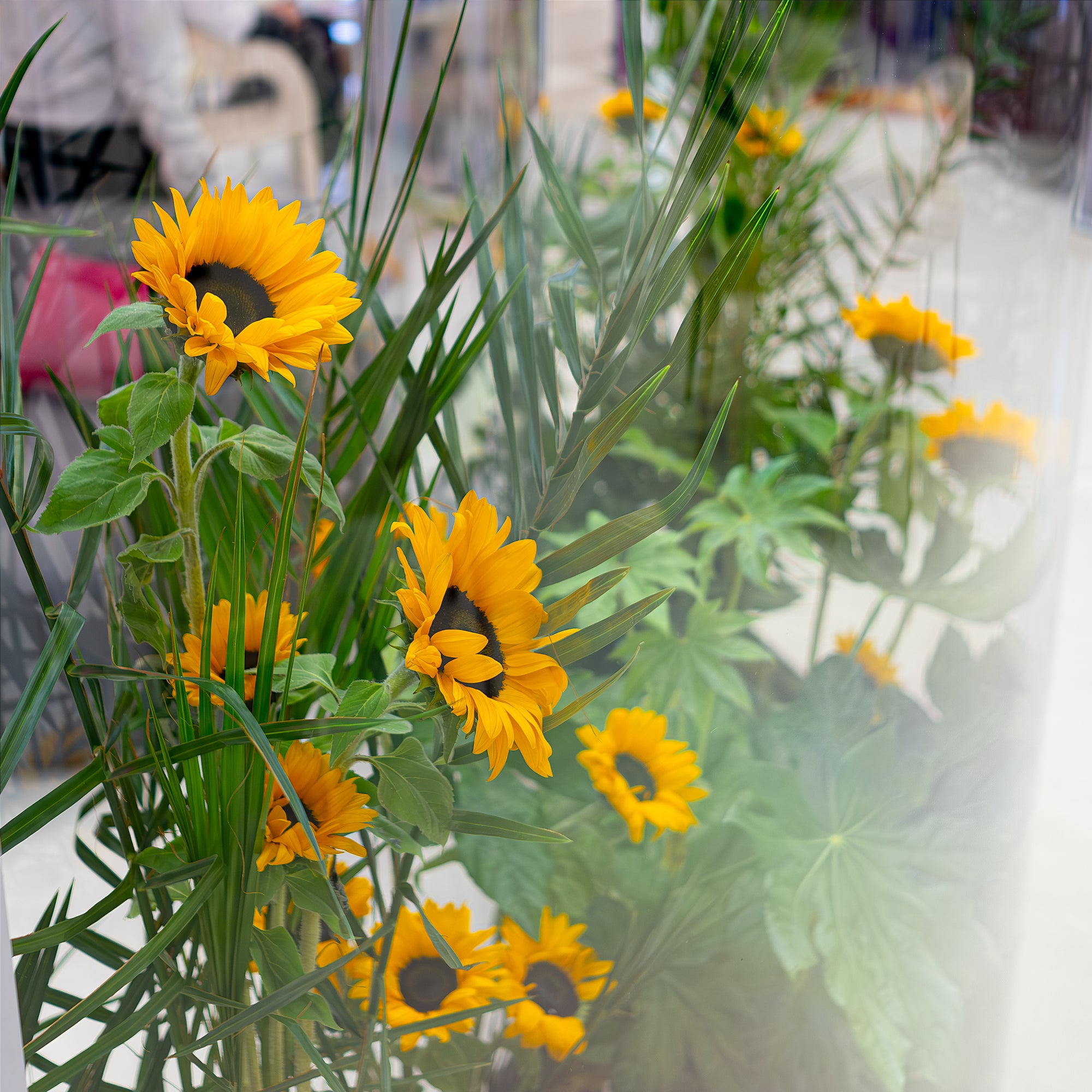 Close-up of vibrant sunflowers with lush greenery in a luxury event floral arrangement, produced by Event Florist Amarante London