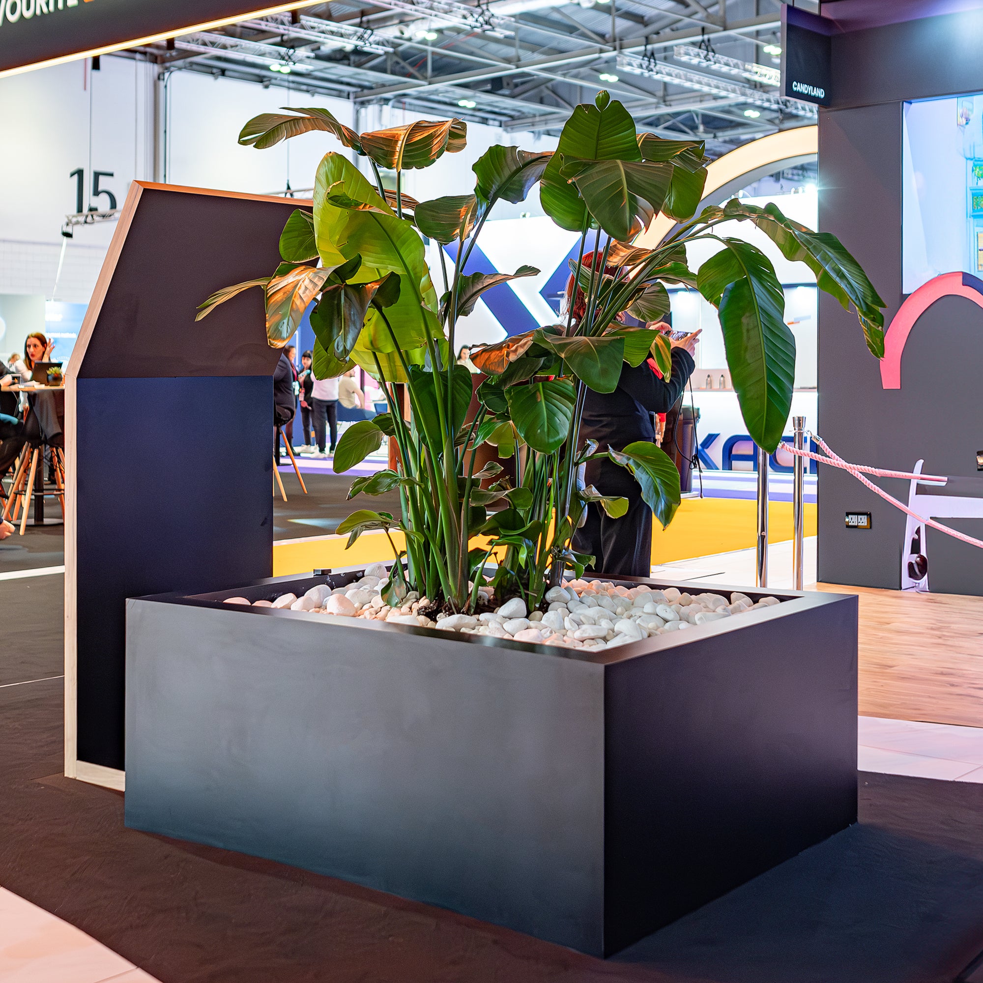 A striking tropical plant arrangement within a modern stone planter designed as a natural focal point in the conference area of the ICE London Exhibition, showcasing a harmonious blend of nature and design.