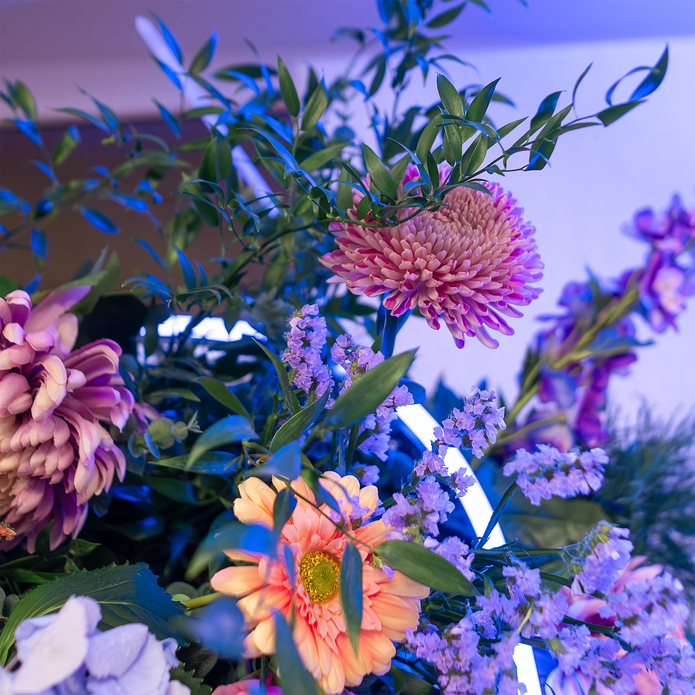Close-up of an intricate floral arrangement that features flowers many different flowers: pink dahlias and delicate blue and lavender blooms, highlighted by subtle lighting, highlighting the outstanding level of detail and Event Floristry - Amaranté London.