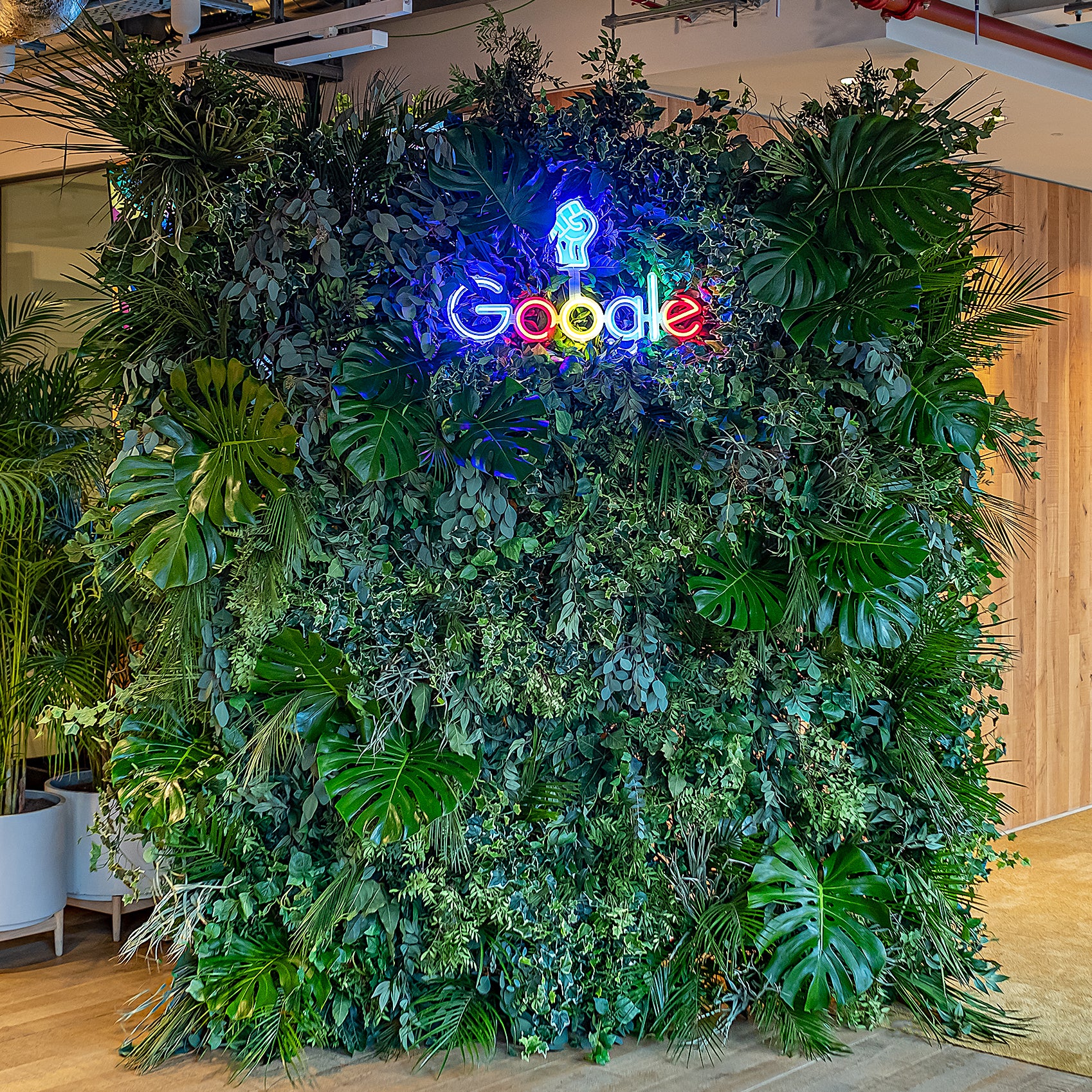 With a prominent interest in natural green stems, event florist Amaranté London partnered with Google to create a bespoke flower wall for their London office.