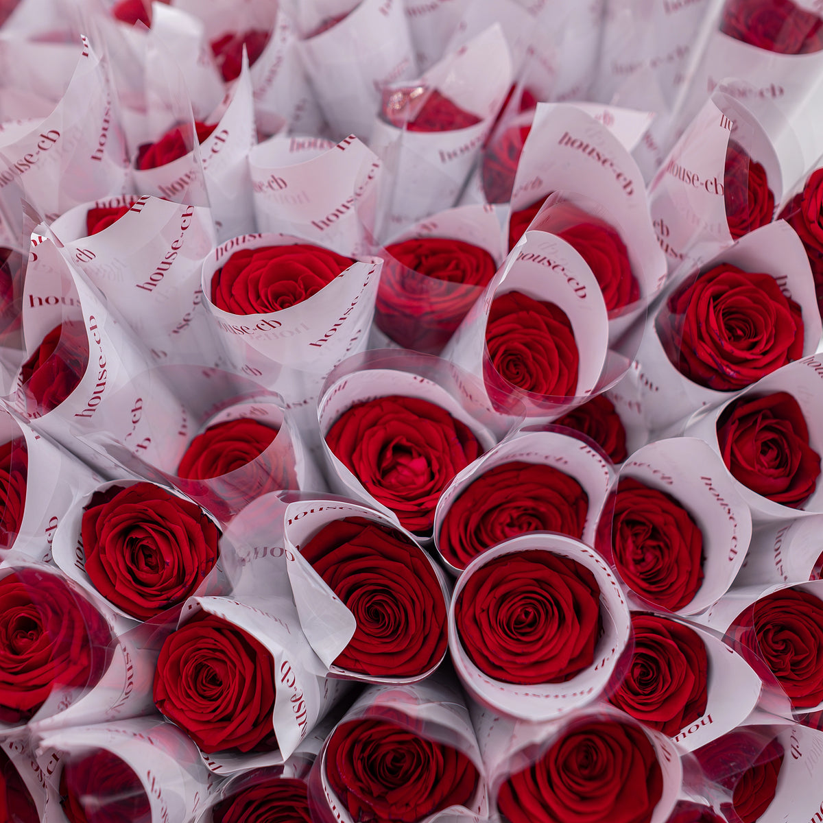 Cb Roses House of CB Valentines Activation – Amarante London
