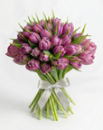 Luxury hand-tied bouquet of 50 deep purple tulips with green foliage, bound with elegant cream ribbon featuring Amarante branding, displayed against neutral background - Amarante London