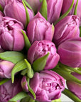 Close-up view of premium purple tulips showcasing ruffled double petals and fresh green leaves in sophisticated floral arrangement for Mother's Day delivery - Amarante London