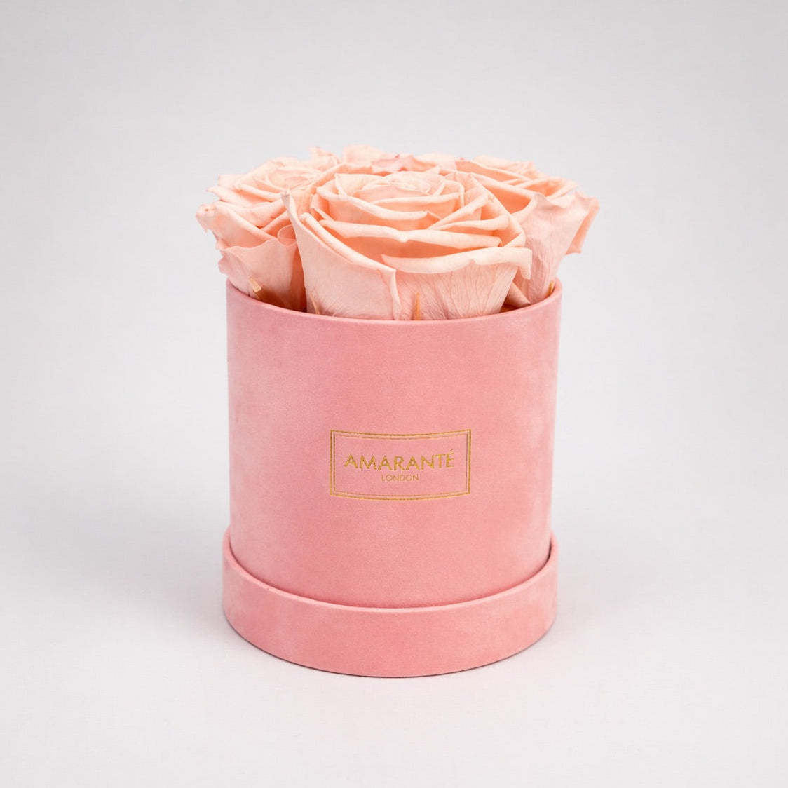 Infinity Roses | Small Pink Round Matte Rose Box | Amarante London