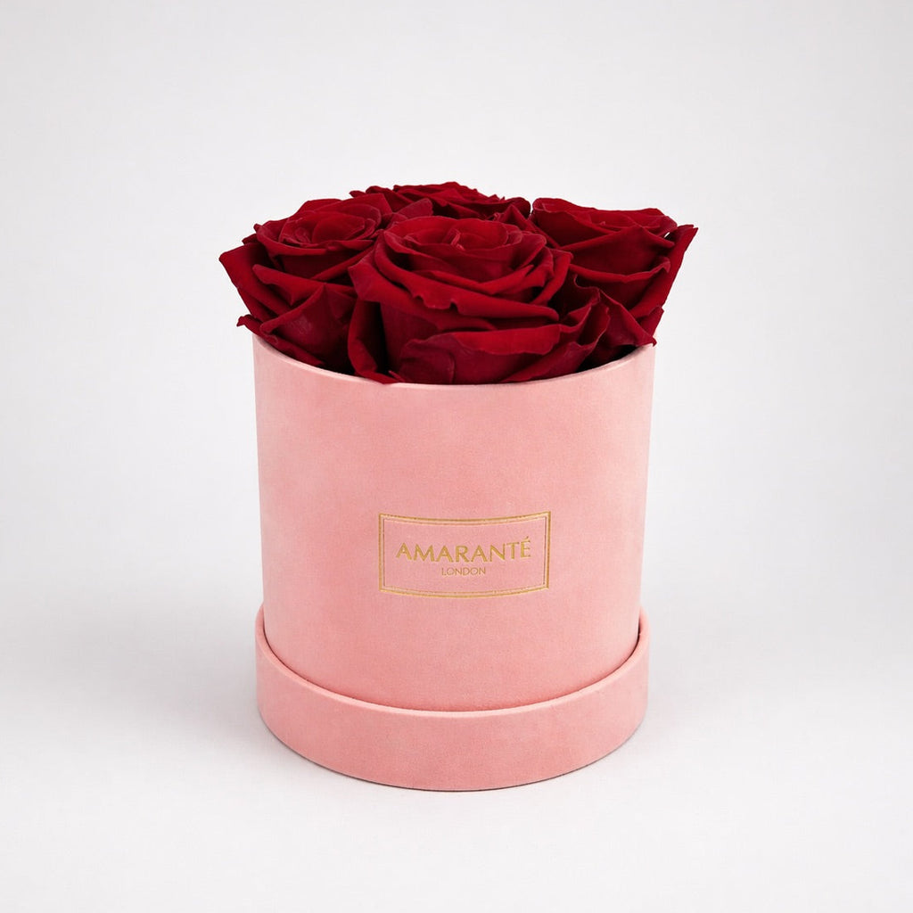 Infinity Roses | Small Pink Round Matte Rose Box | Amarante London