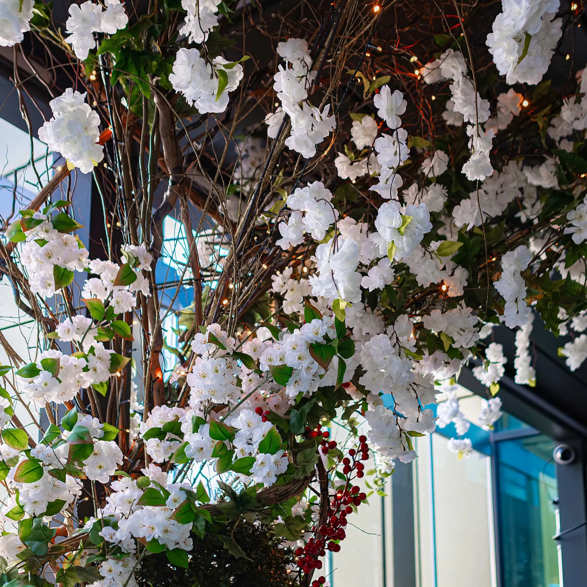 An overhead canopy of white blossoms with interspersed red berries, set against the dark interior ceiling of The STK Steakhouse in London, with warm fairy lights adding a cosy ambience - Christmas Flowers Design, Creation and Installation by Amaranté London.