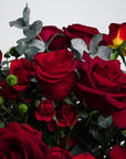 Exquisite Valentine's Day bouquet of luxurious fresh red roses, showcasing a mesmerising blend of elegant scarlet roses. This timeless display of affection elegantly enchants the senses with its polished, sophisticated design. Graceful in presentation, this stylish and trendy Vday Flowers arrangement, available with free UK delivery, exudes class and charm fit for expressing timeless love and admiration. From Amarante London's chic and luxurious range.