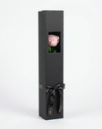 Sophisticated charcoal grey single rose presentation box featuring rectangular window showcasing delicate blush pink preserved rose with verdant stem, adorned with premium black ribbon - Amarante London