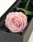 Detailed view of exquisite soft pink infinity rose with intricate spiral petal formation and lush green leaves beautifully displayed within elegant black-lined luxury gift box - Amarante London