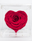 Single Red Infinity Rose in the shape of a heart, in a transparent acrylic box, ideal gift for Valentine's Day of to celebrate a special event with a loved one. 