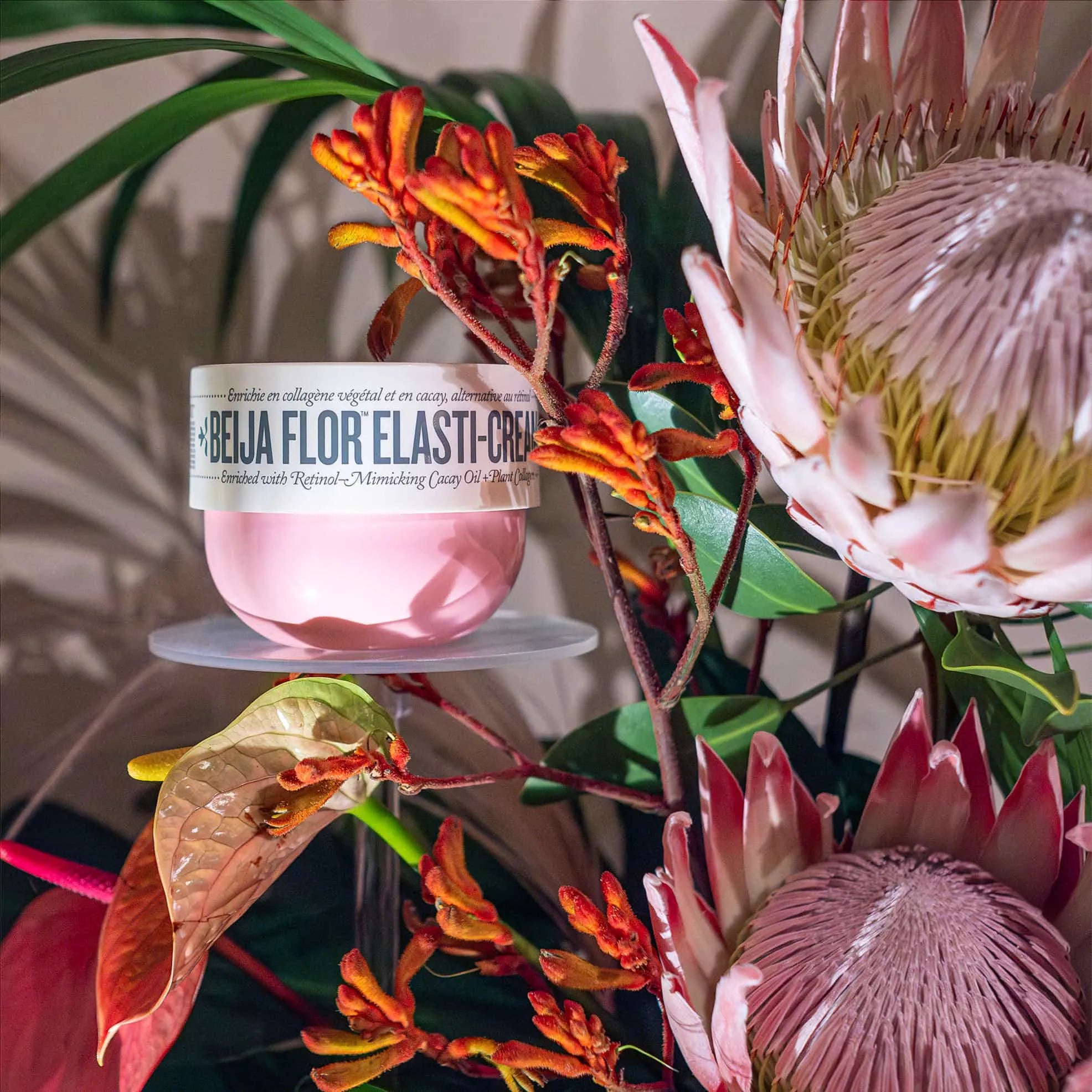 Sol de Janeiro's Beija Flor Elasti-Cream highlighted within Amaranté London's bespoke floral installation, featuring fiery red kangaroo paws and soft pink proteas against a serene backdrop.