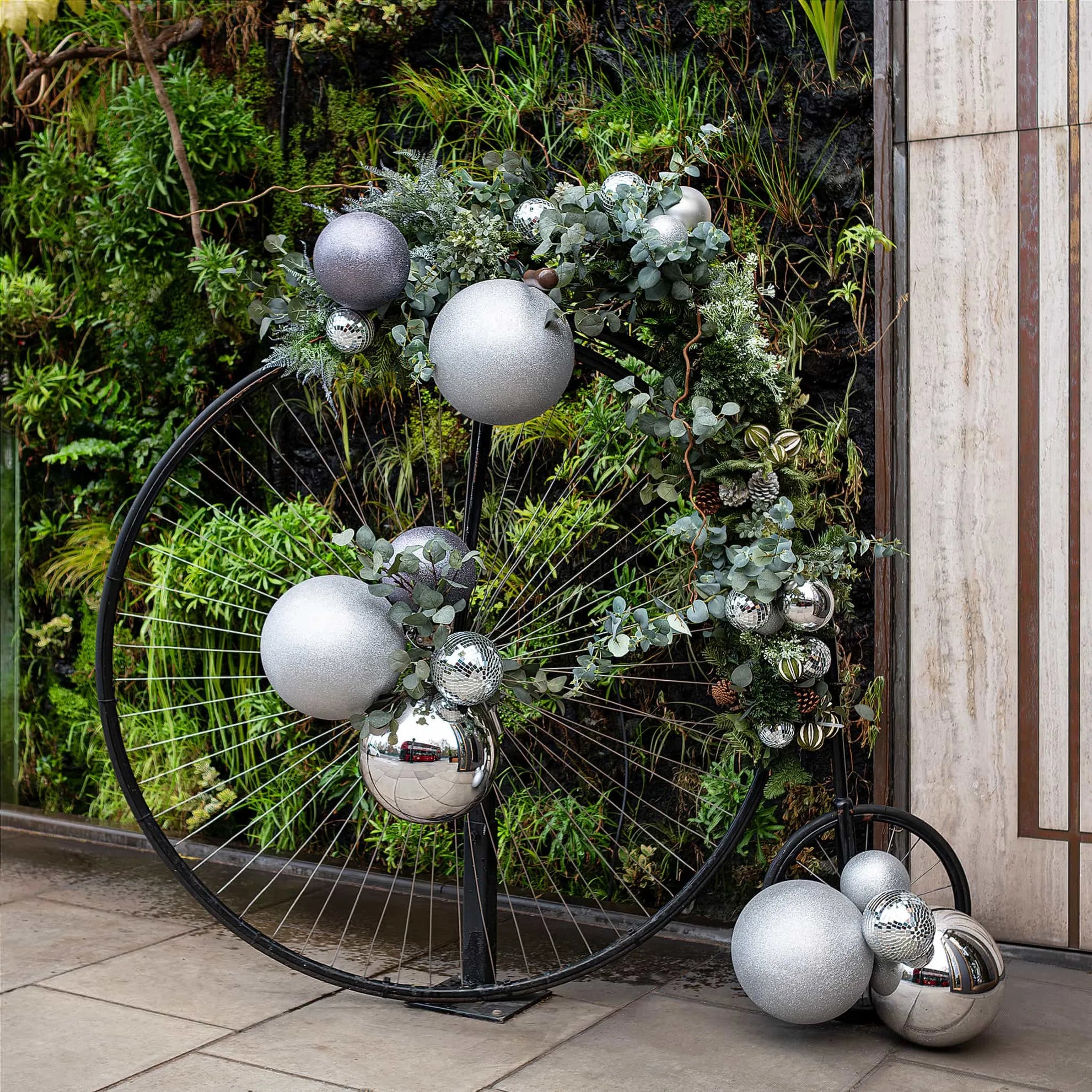 An inventive and whimsical bespoke floral arrangement on display at 'The Athenaeum' hotel featuring a vintage bicycle wheel artistically interwoven with a lavish selection of silver baubles, reflective ornaments, and a lush assortment of eucalyptus and pine, set against the vibrant backdrop of a vertical garden wall. They are designed, created, produced and installed by Amaranté London - Event Florist in London.