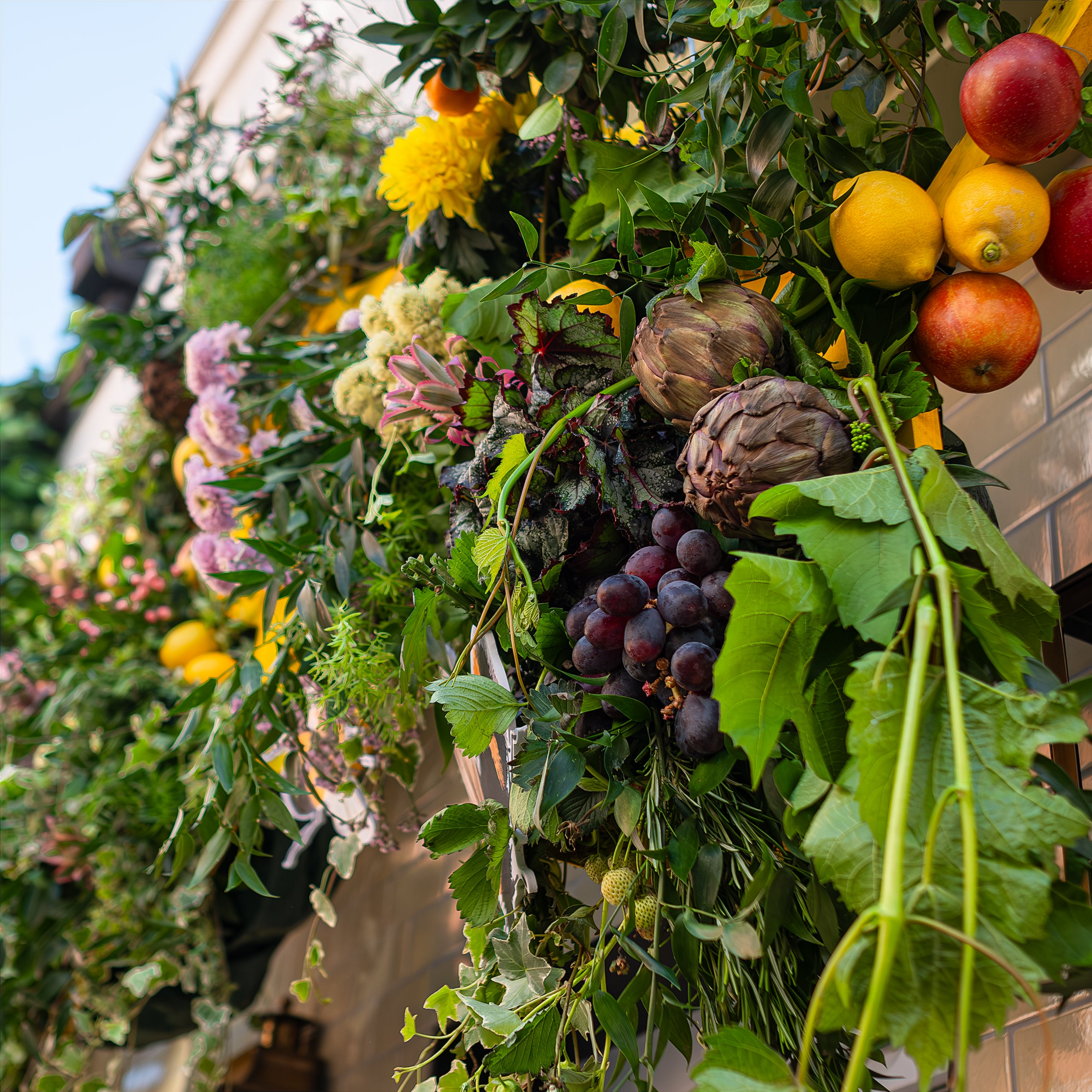 A lush exterior flower arrangement by Amaranté London at The Five Fields Restaurant for Chelsea in Bloom features dense clusters of artichokes and assorted citrus fruits among vibrant chrysanthemums and ivy cascades, along with deep green foliage.