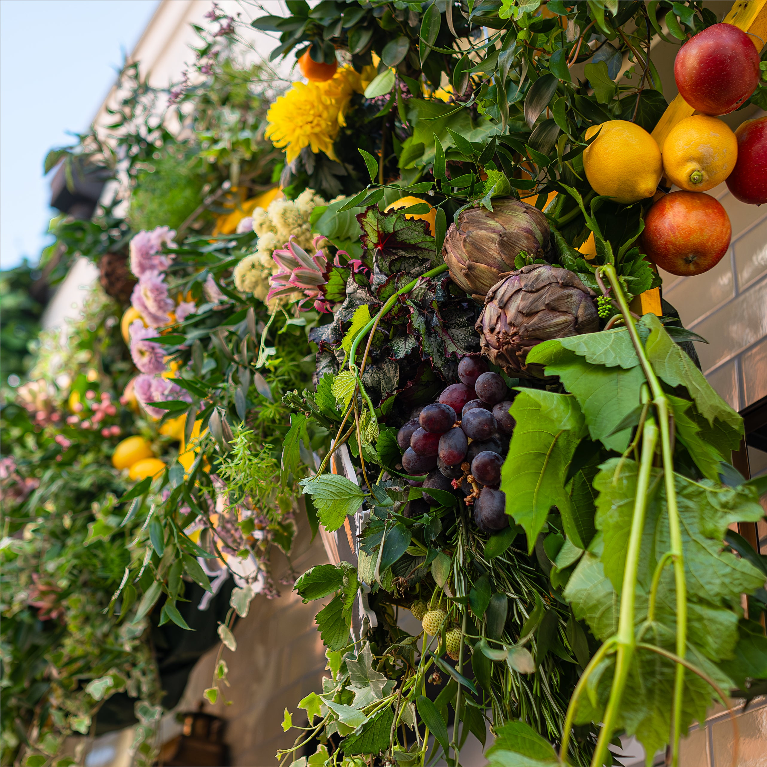 A lush exterior flower arrangement by Amaranté London at The Five Fields Restaurant for Chelsea in Bloom features dense clusters of artichokes and assorted citrus fruits among vibrant chrysanthemums and ivy cascades, along with deep green foliage.