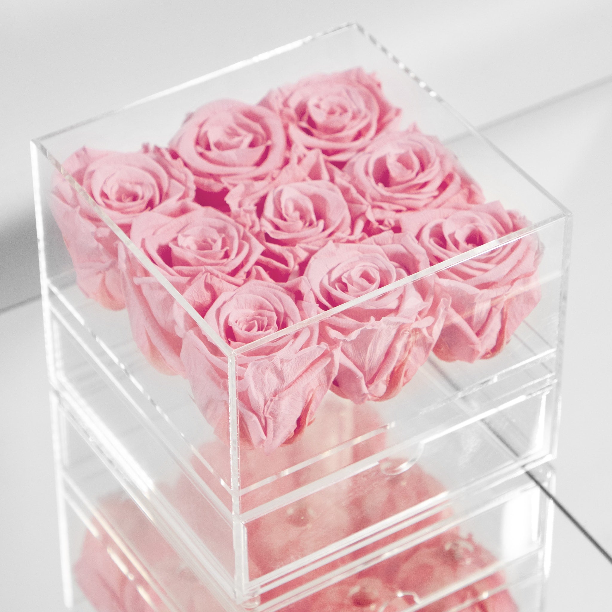 Tender light pink Roses denoting beauty love, and romance. 