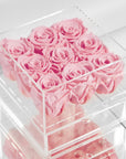 Tender light pink Roses denoting beauty love, and romance. 