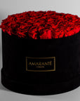 Divine red Roses in a modish black round extra large box. 