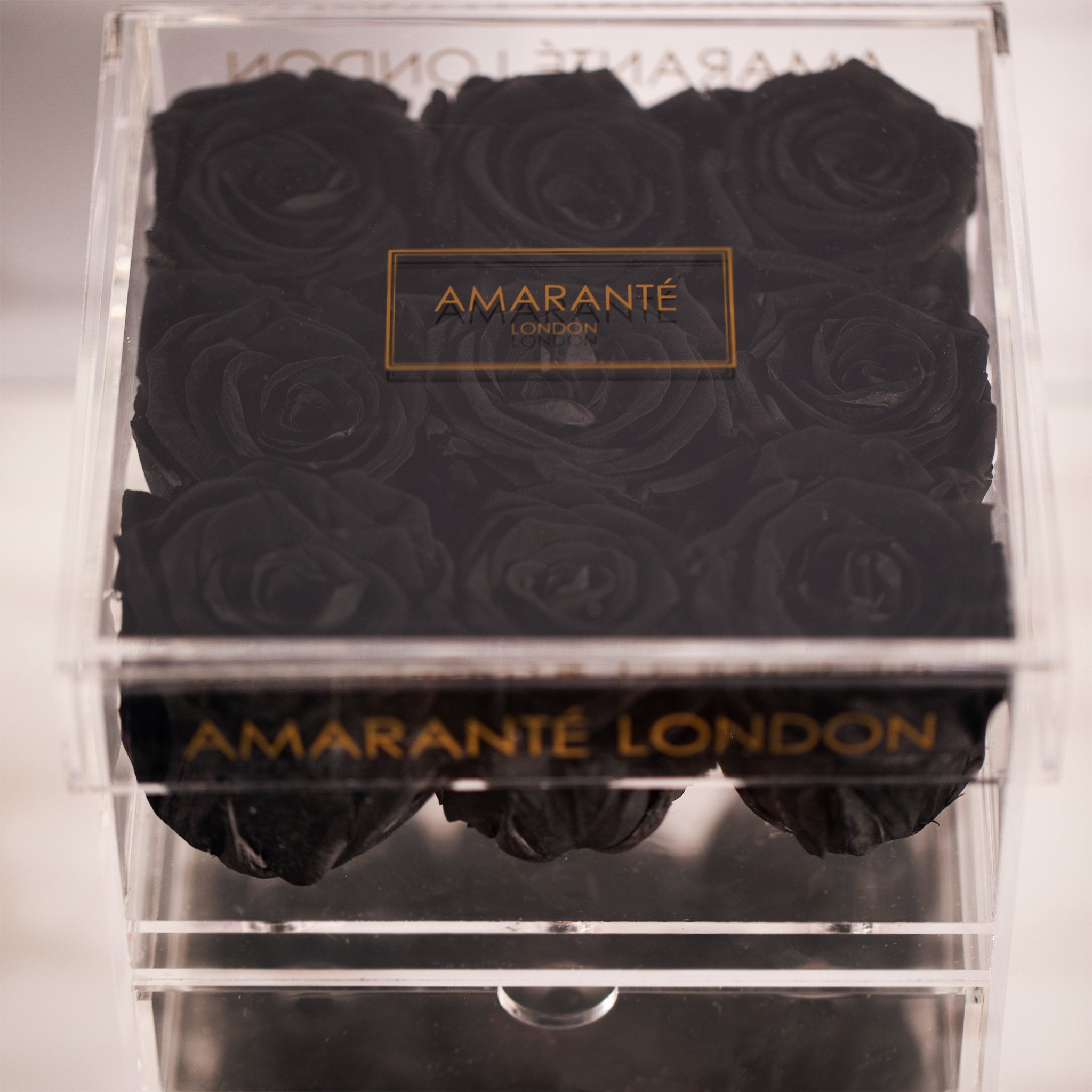 Bold black Roses in a timeless medium acrylic box 