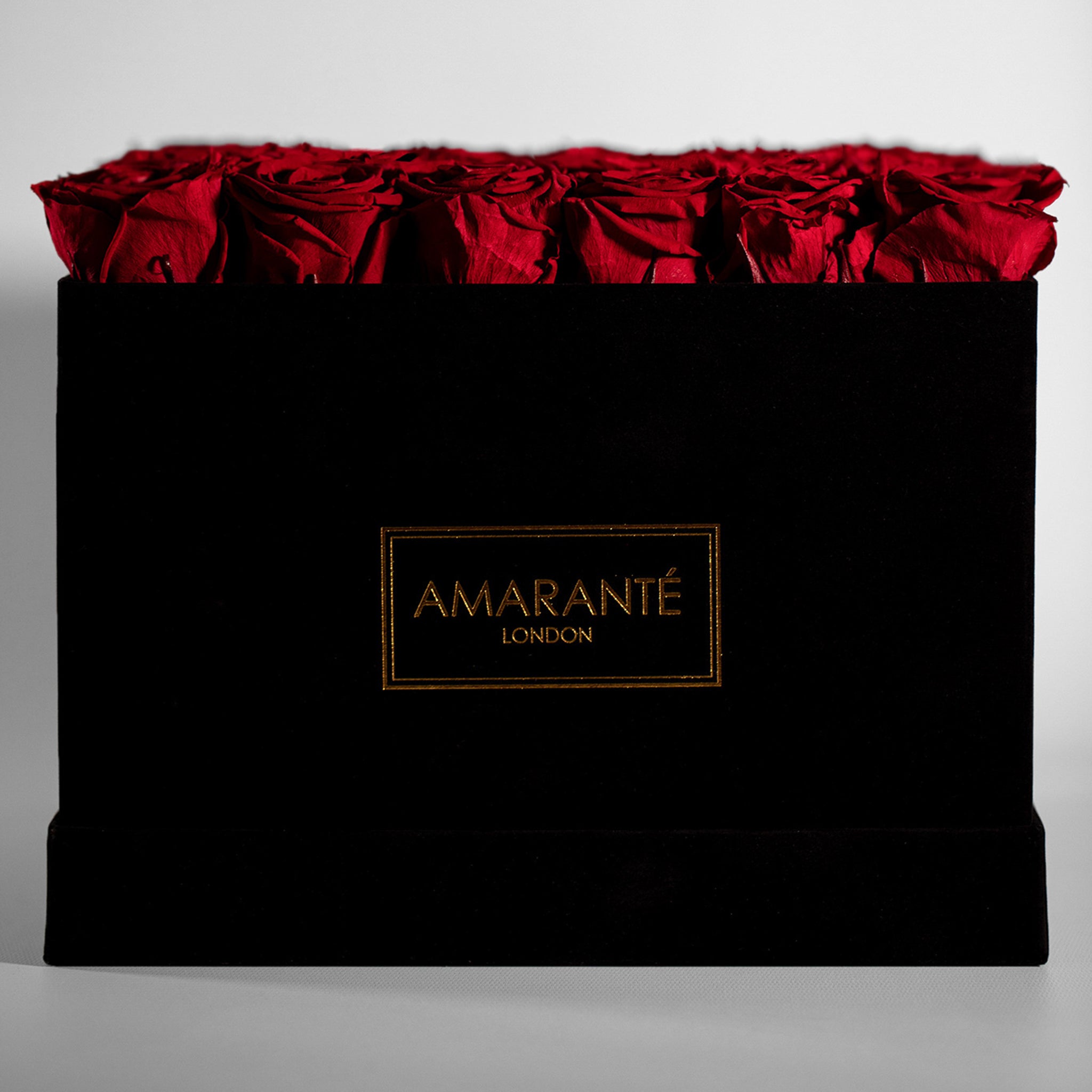 Elegant red Roses beaming with fiery, vivid, and aromatic shades. 