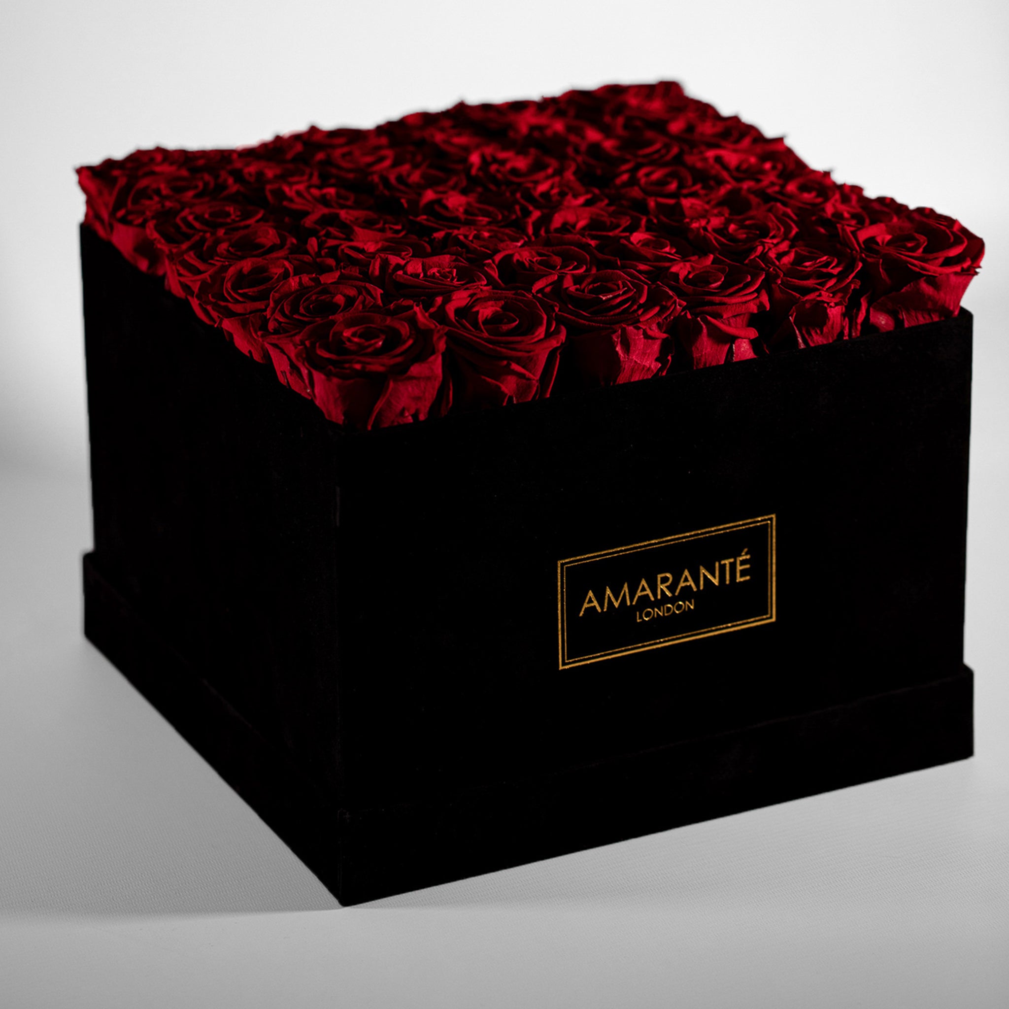 Dapper wine red Roses Entrenched  in a stylish extra large black box.