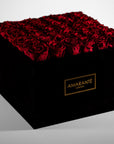 Dapper wine red Roses Entrenched  in a stylish extra large black box.
