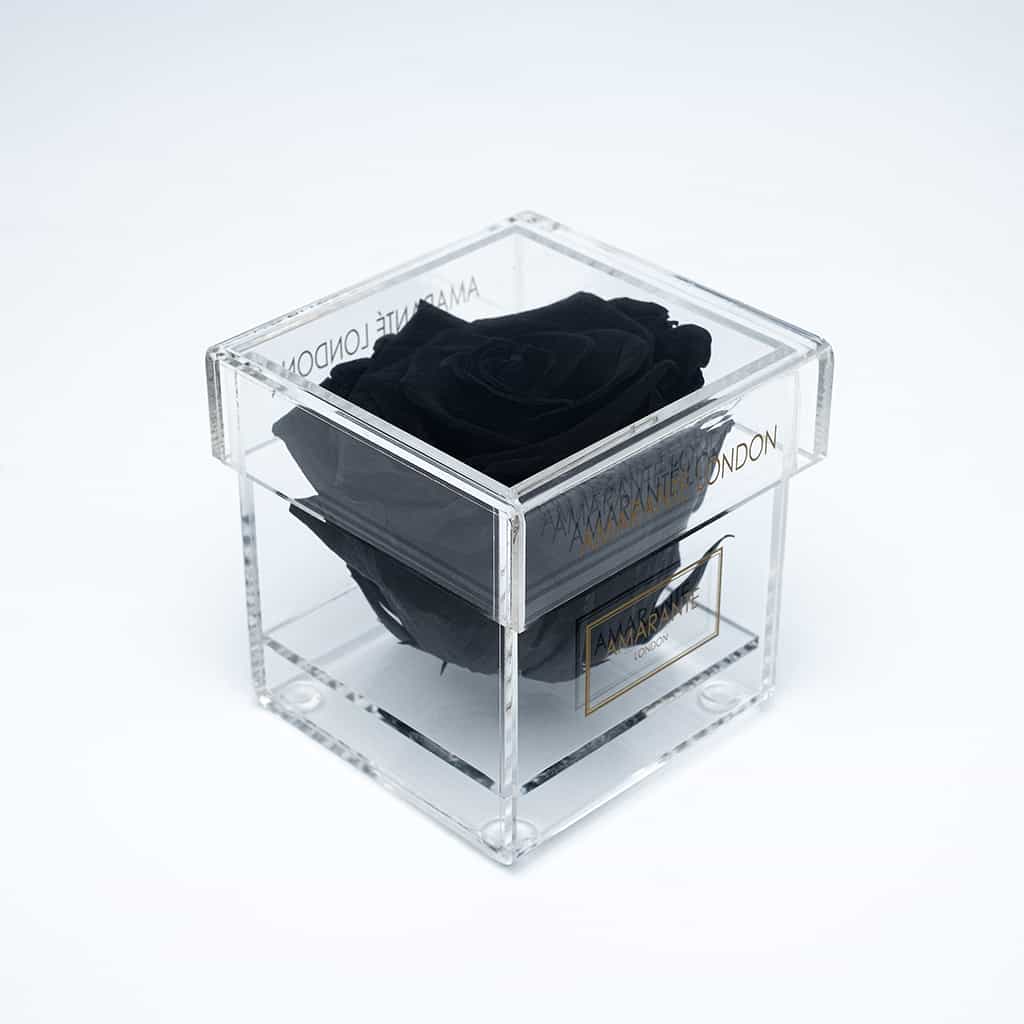 Stylish and intense, this black single infinity rose in a transparent acrylic box, is a unique symbol of love and affection to celebrate Valentine&#39;s Day and other memorable romantic events.