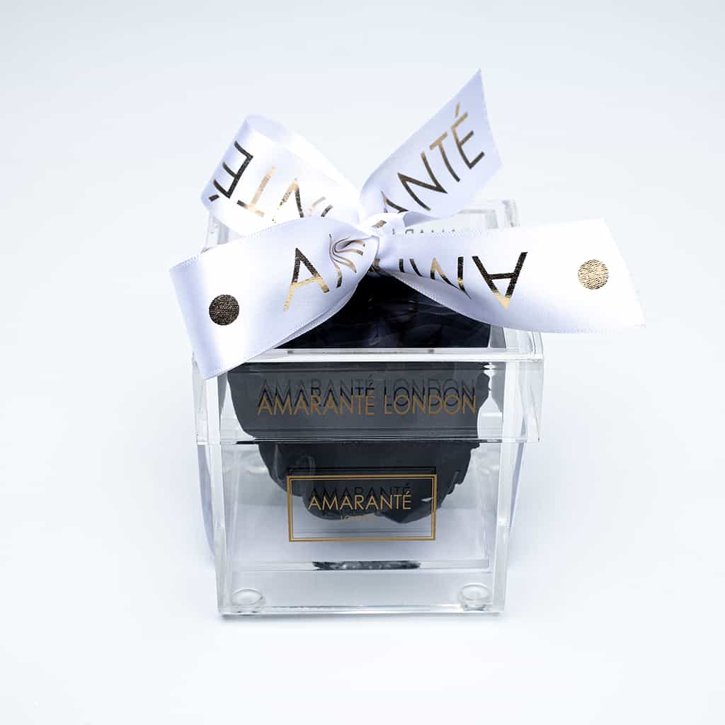 Black single rose in a transparent acrylic box decorated with a white ribbon - a unique symbol of love and affection to celebrate Valentine&#39;s Day and other memorable romantic events.