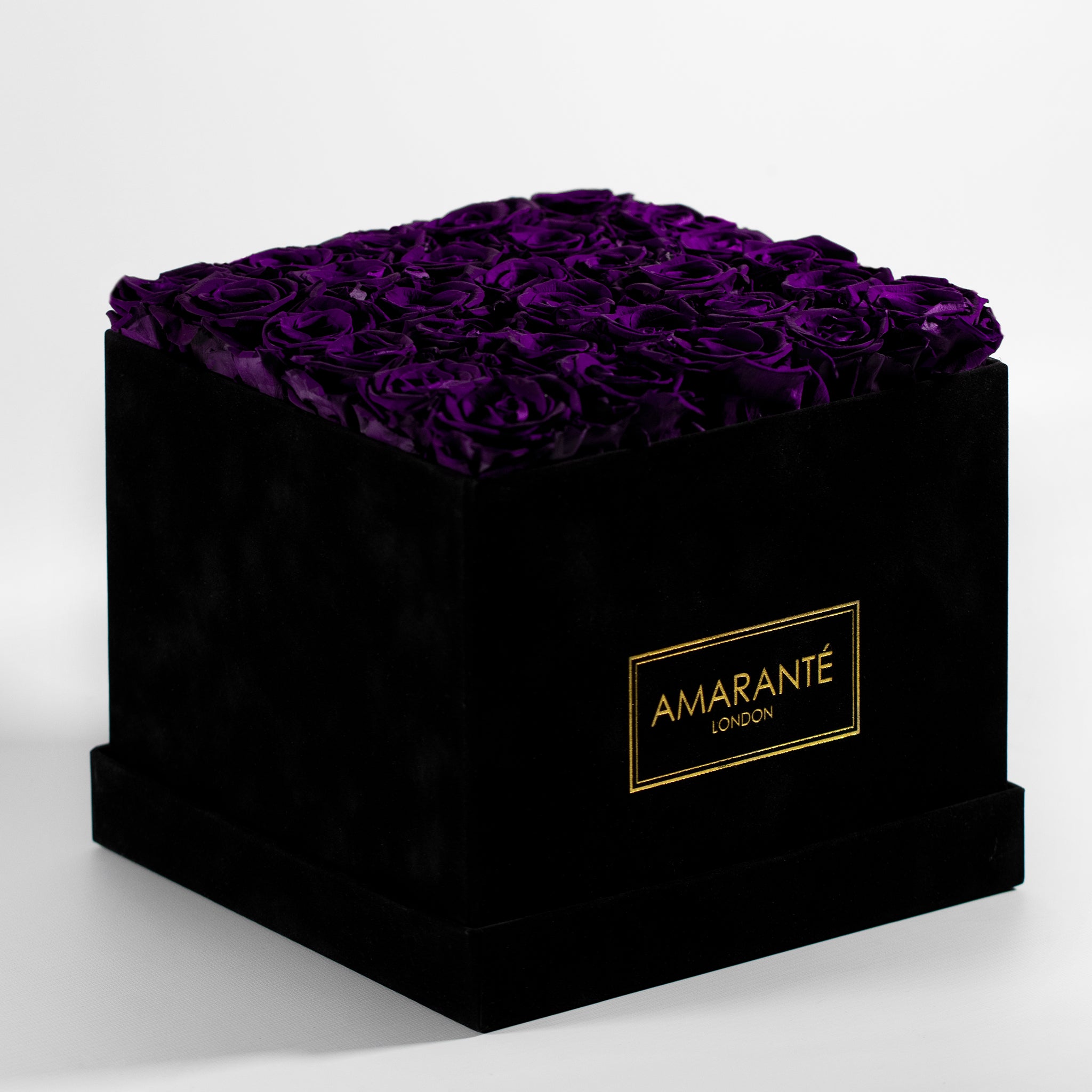 Magical dark purple coloured Roses denoting protection, security, and wisdom. 