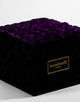 Magical dark purple coloured Roses denoting protection, security, and wisdom. 
