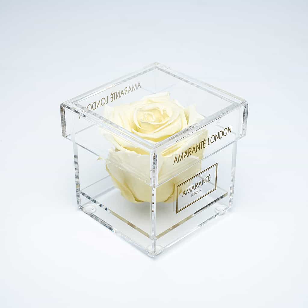 Incredibly sophisticated champagne single infinity rose in a classy acrylic rose box, ideal gift for Valentine&#39;s Day and other memorable romantic events in you life.